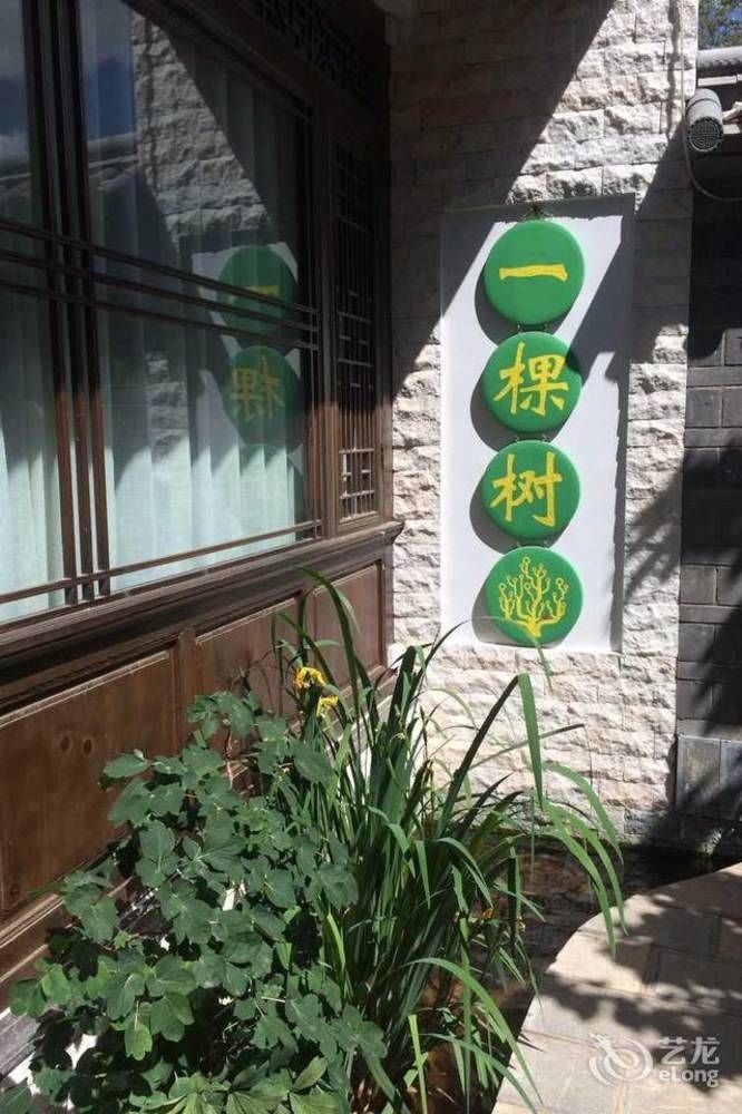 Tree'S Tale Hotel - Lijiang 麗江市 エクステリア 写真