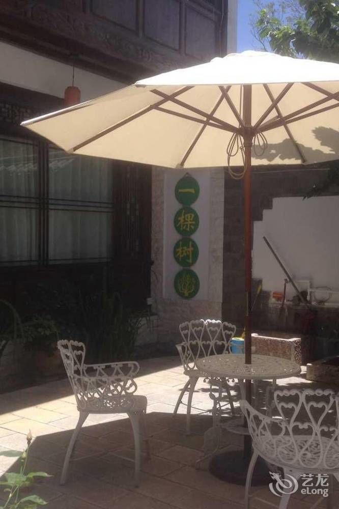 Tree'S Tale Hotel - Lijiang 麗江市 エクステリア 写真